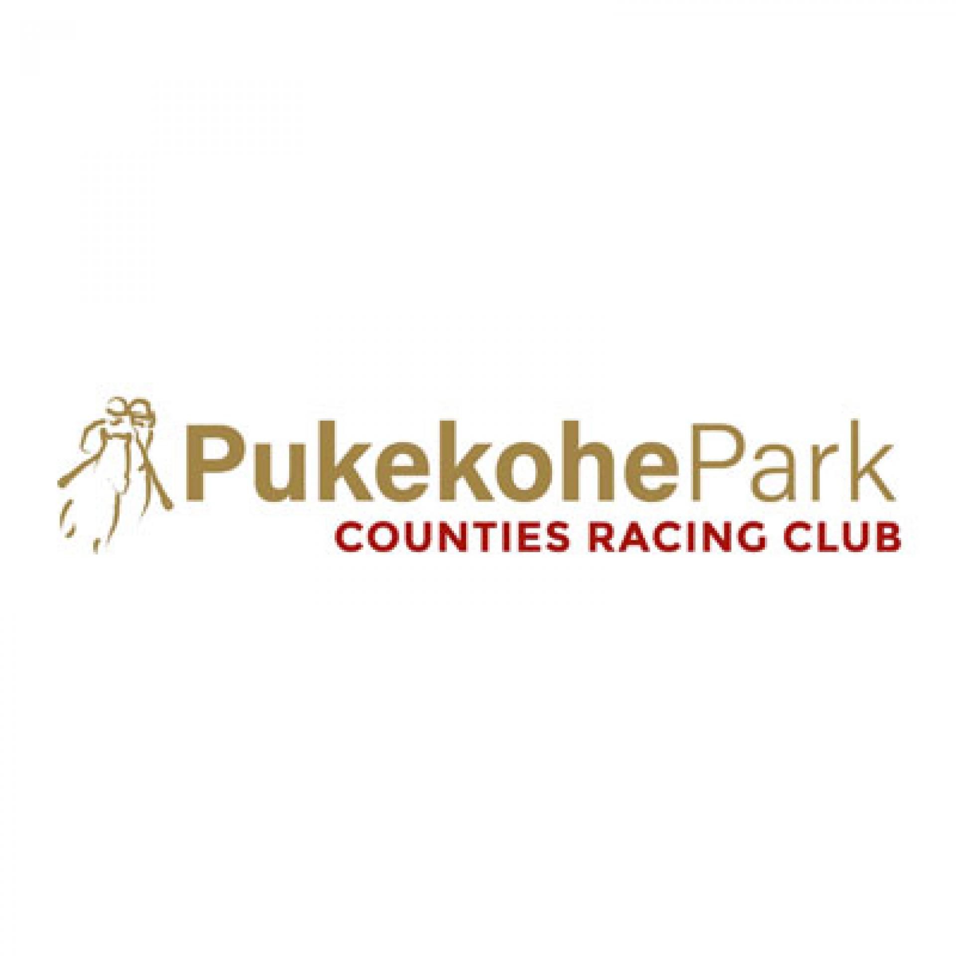 logo-puke-race.jpg